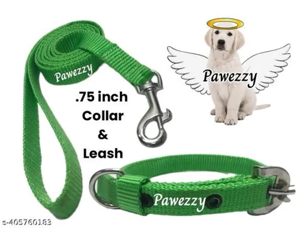 Pawezzy_Green_Dog_Leash_And_Collar_Set