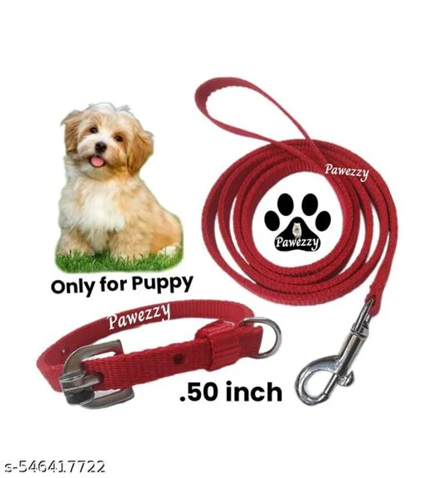 Pawezzy_Red_Adjustable_Dog_Collar_And_Leash_Set