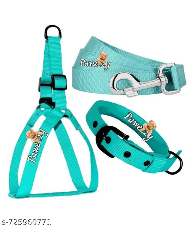 Pawezzy_Sea_Green_Dog_Body_Belt_Collar_And_Leash_Combo