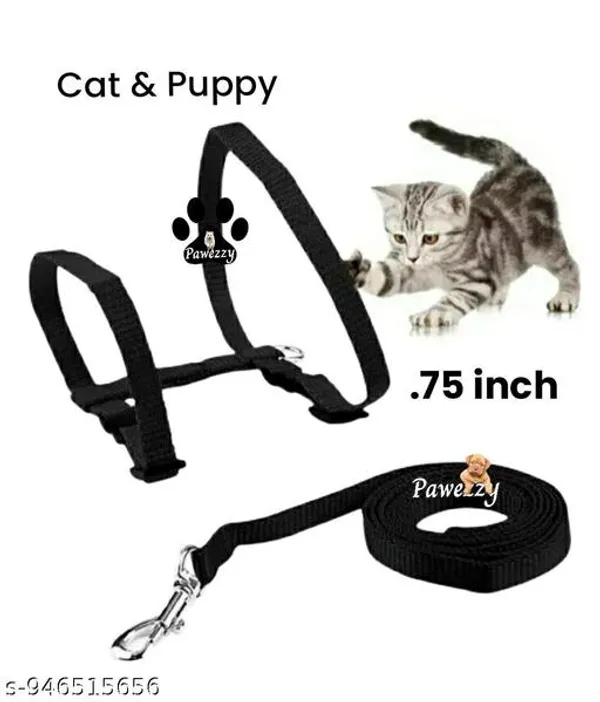 Cat_And_Rabbit_Harnes_And_Leash