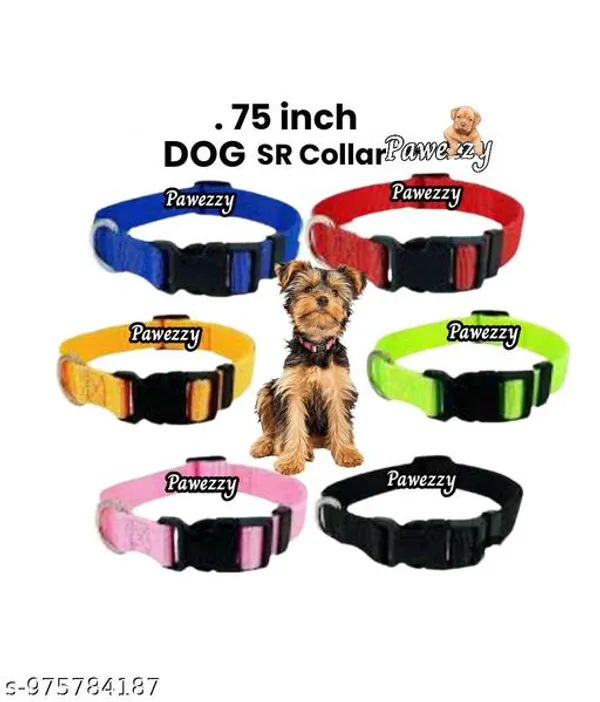 Pawezzy_Adjustable_Dog_Collar_Combo_5_Colors_Pack_Of_6