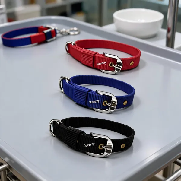 Pawezzy_1_Inch_Adjustable_Dog_Collar