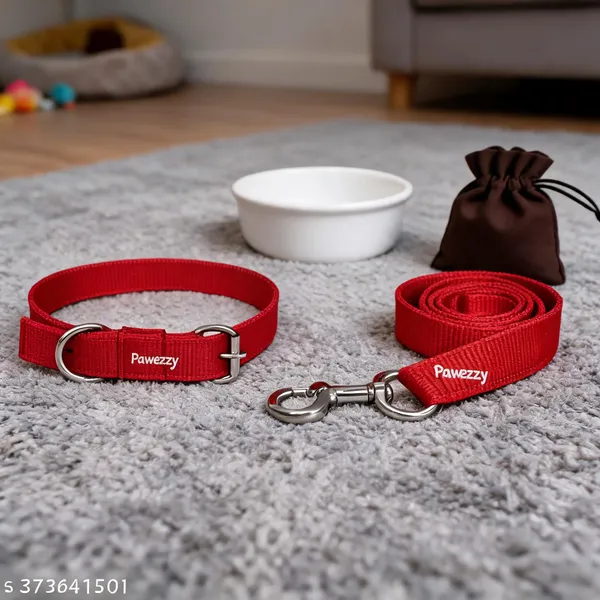 Pawezzy_Red_Cat_And_Dog_Puppy_Collar_And_Leash_Set