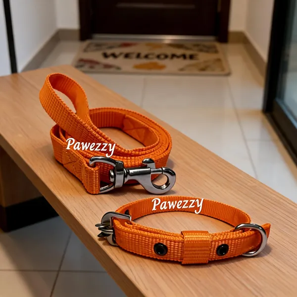Pawezzy_Orange_Dog_Leash_And_Collar_Set