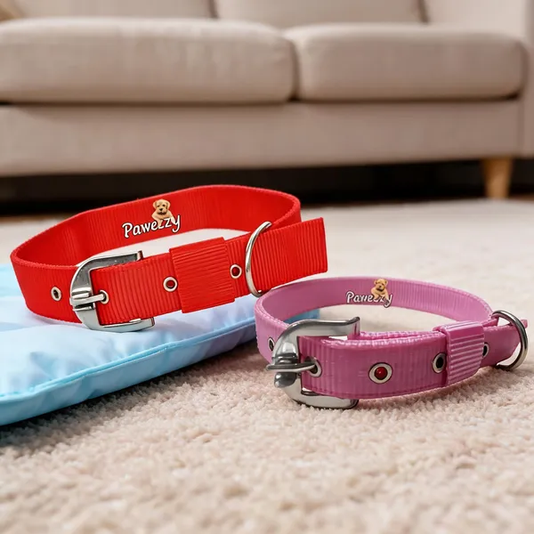 Pawezzy_Red_And_Pink_Dog_Collar_Combo_Pack_Of_2