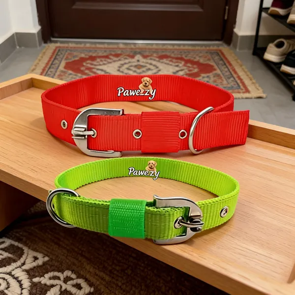 Pawezzy_Green_Red_Dog_Collar_Combo_Pack_Of_2