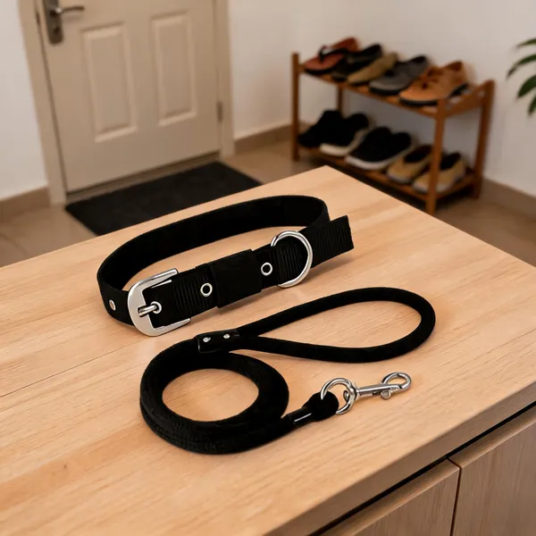 Pawezzy_Black_Dog_Leash_And_Collar_Set