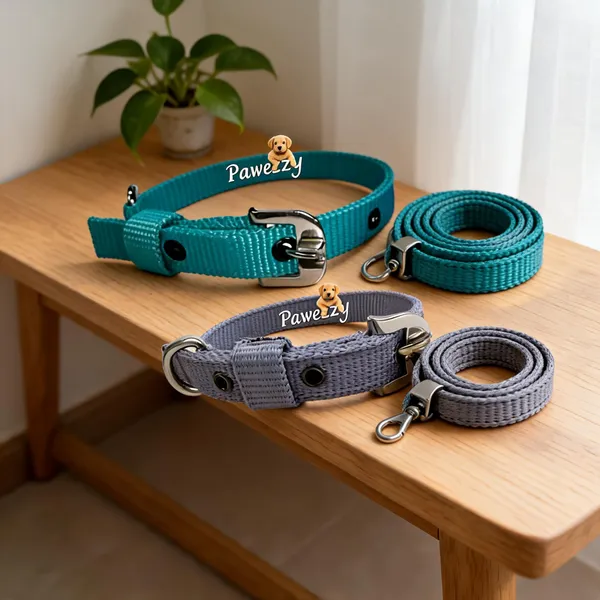 Pawezzy_Grey_Green_Nylon_Dog_Collar_And_Leash_Combo_Pack_Of_2