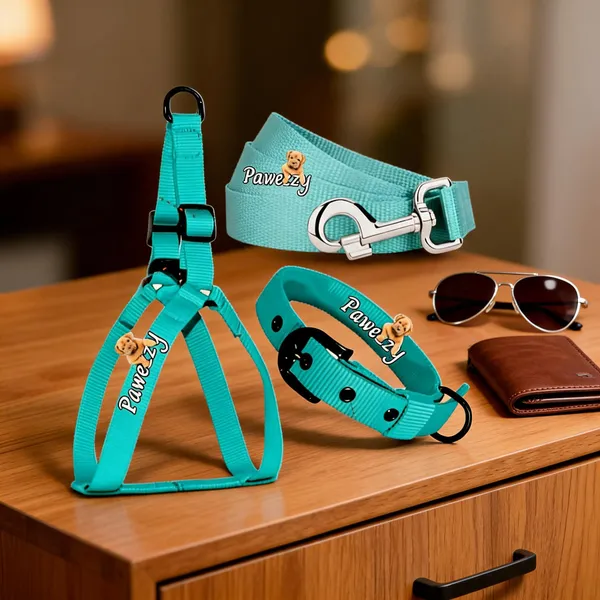 Pawezzy_Sea_Green_Dog_Body_Belt_Collar_And_Leash_Combo