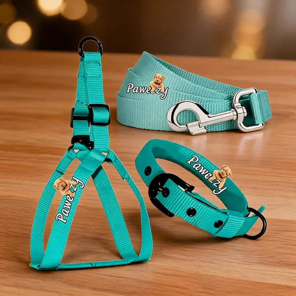 Pawezzy_Sea_Green_Dog_Body_Belt_Collar_And_Leash_Combo