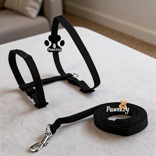 Pawezzy_Black_Cat_And_Rabbit_Adjustable_Harness_And_Leash