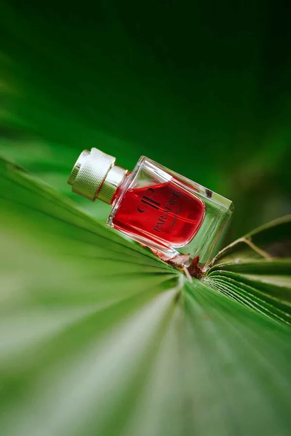 Good_Girl_Sweet_Addictive_Choco_Vanilla_Fragrance