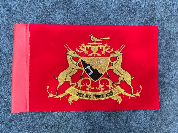 velvet_fabric_car_flag_bhati_rajput