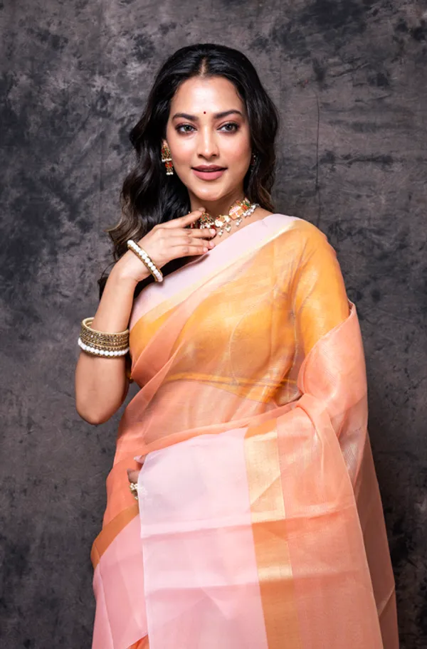 Striped_Zari_Tissue_Saree