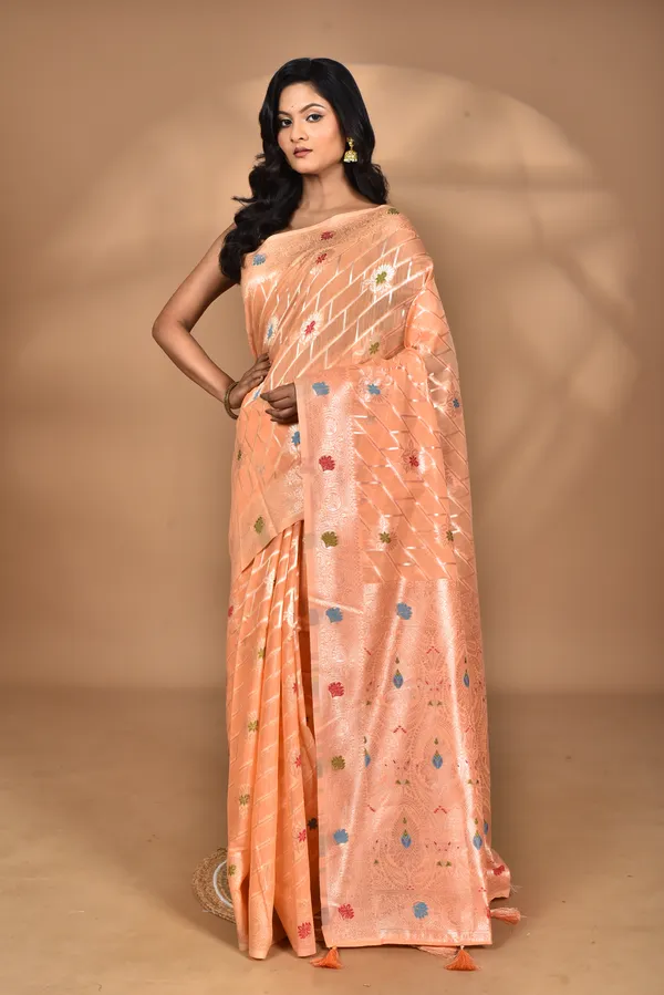Women_Desgin_Chanderi_Silk_Saree