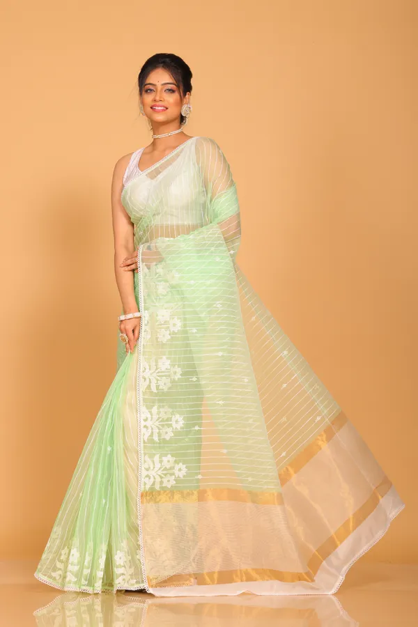 orzanga_stripe_embrodiery_saree