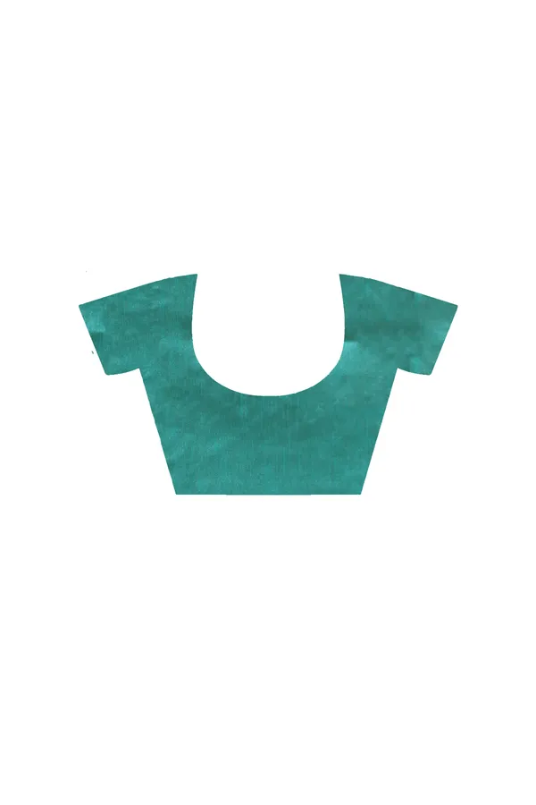 SEA_GREEN_SUPERNET_with__EMBROIDERY_Saree_with_Blouse_Piece