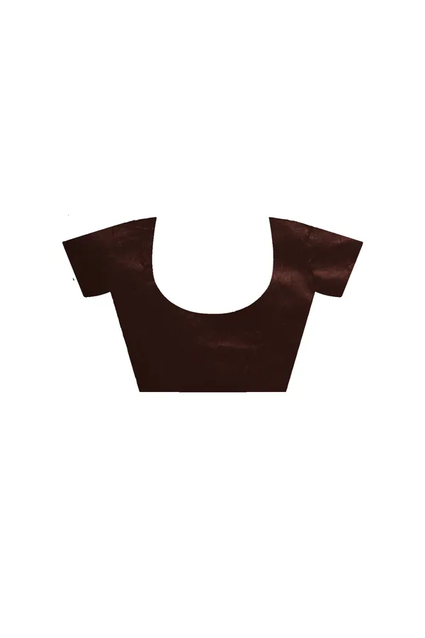 BROWN_SUPERNET_with__EMBROIDERY_Saree_with_Blouse_Piece