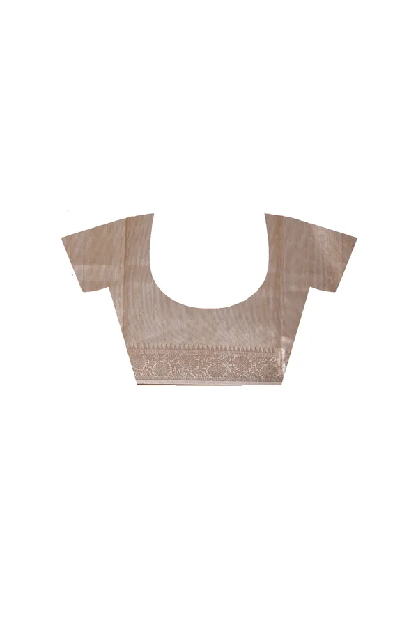 BEIGE_TISSUE_with_COMPUTER_EMBROIDERY_Saree_with_Blouse_Piece