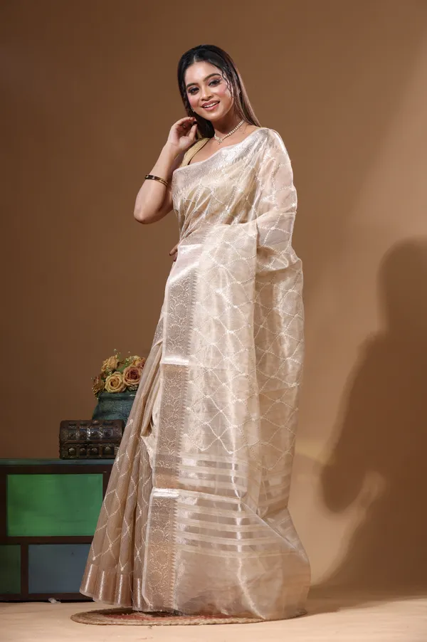BEIGE_TISSUE_with_COMPUTER_EMBROIDERY_Saree_with_Blouse_Piece