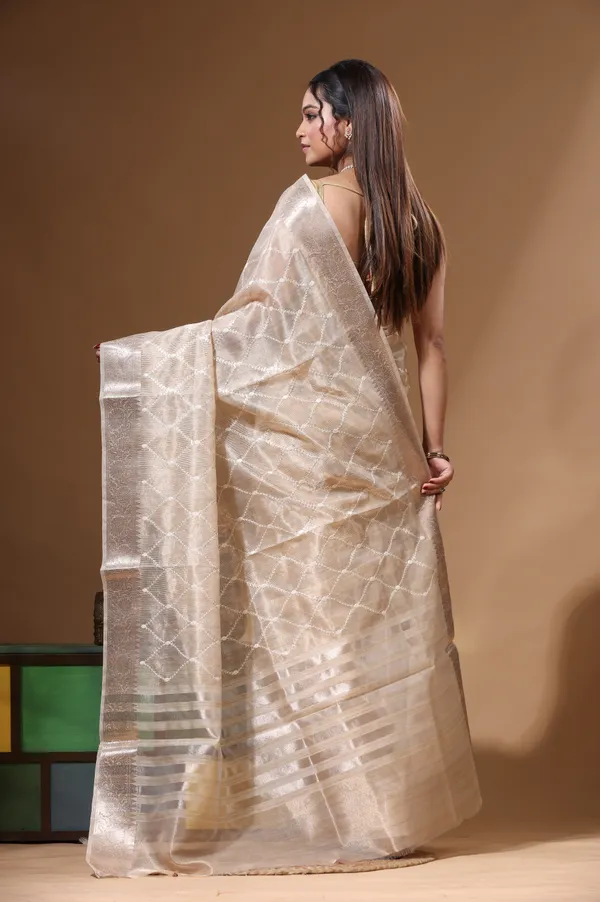 BEIGE_TISSUE_with_COMPUTER_EMBROIDERY_Saree_with_Blouse_Piece