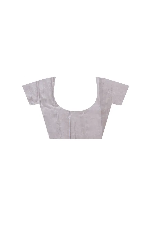 GREY_VISCOSE_ORGANZA_with__EMBROIDEERY_Saree_with_Blouse_Piece