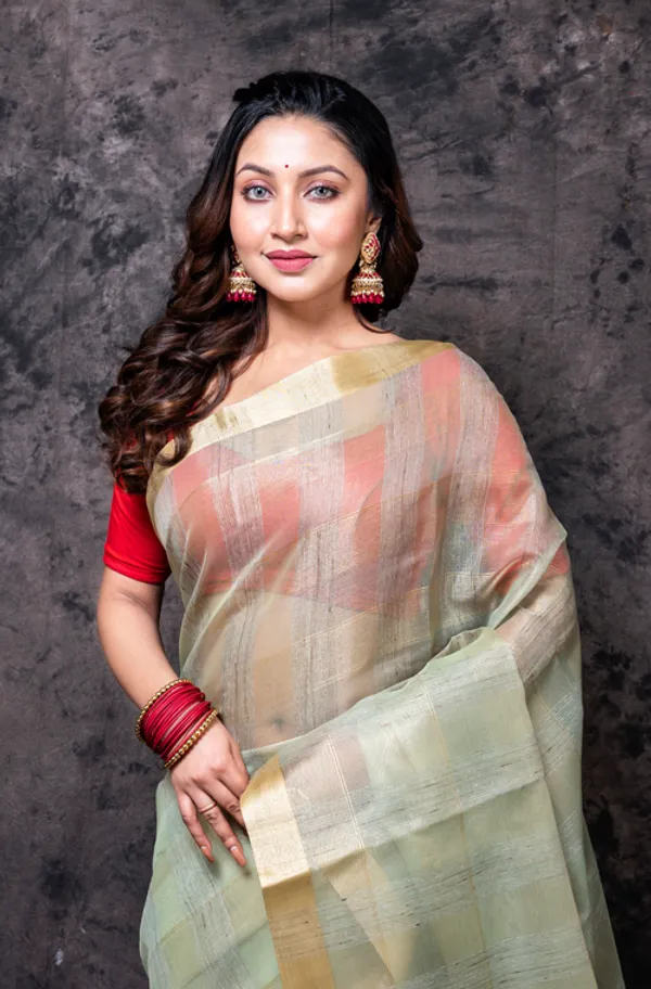 Woven_Design_Striped_Zari_Tissue_Saree
