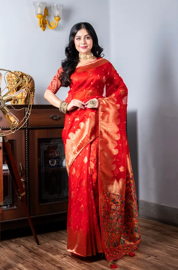 Ethnic_Motifs_Woven_Design_Zari_Organza_Saree