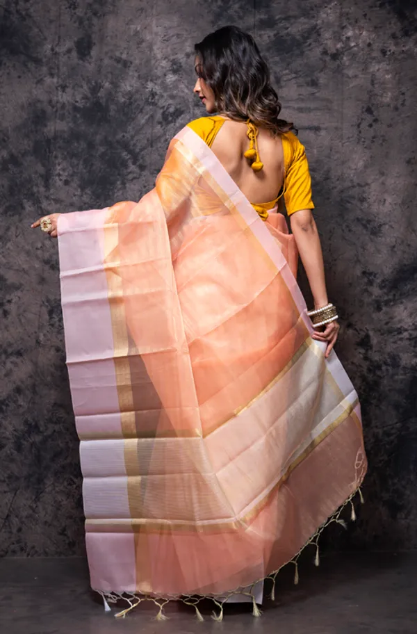 Striped_Zari_Tissue_Saree