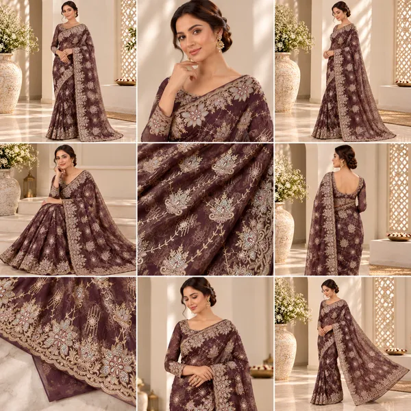 Brown_Tissue_Net_Saree_With_Blouse_Piece_For_women