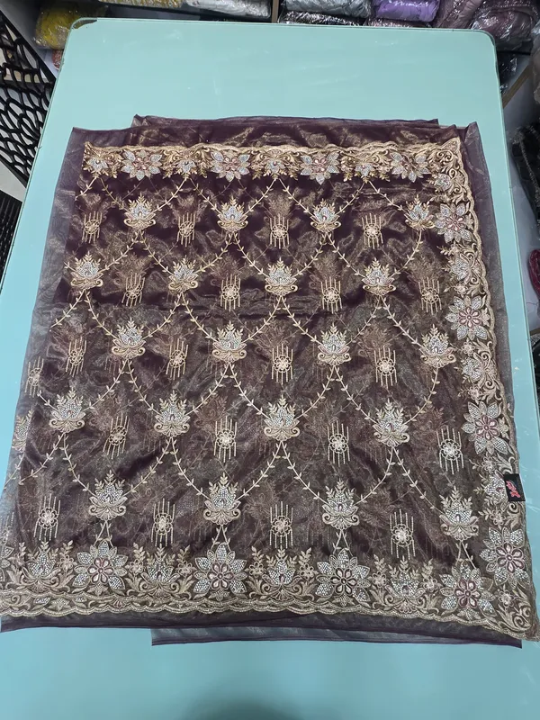 brown_colour_tissue_net_fabric_with_full_work_and_zari_stone