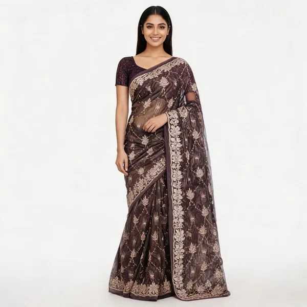 Brown_Tissue_Net_Saree_With_Blouse_Piece_For_women