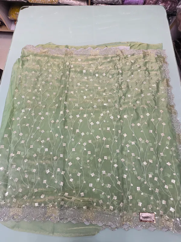 pista_green_full_embroded_work_on_saree_and_border_stone_work