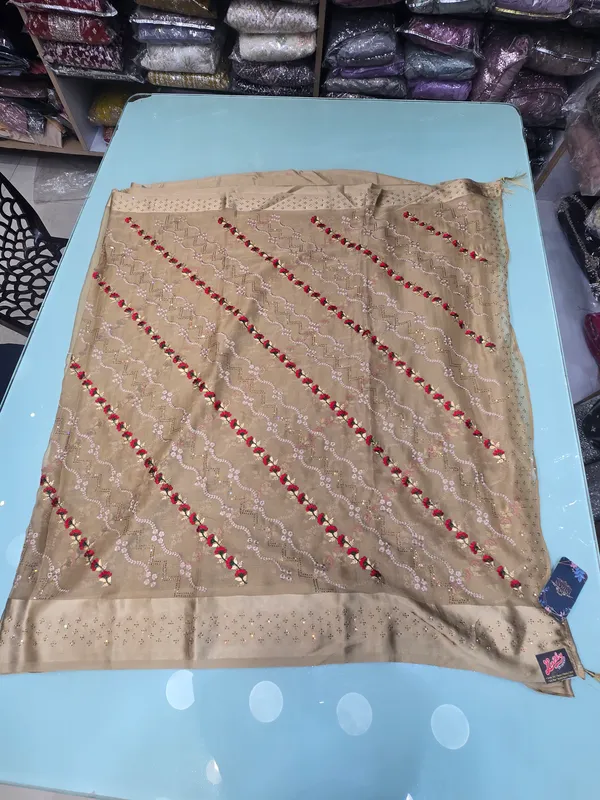bej_chiffon_saree_with_satin_border_full_embroded_with_contrrast_work__adn_swaroski_on_border