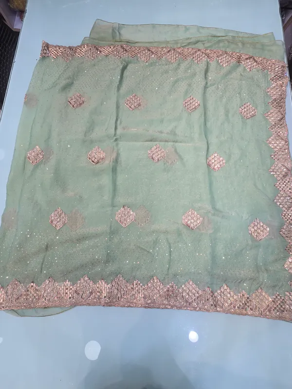 georgett_saree_shimer_saree_with_border_stone_and_zari
