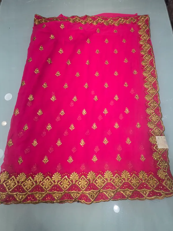 georgett_rani_colour_with_border_work