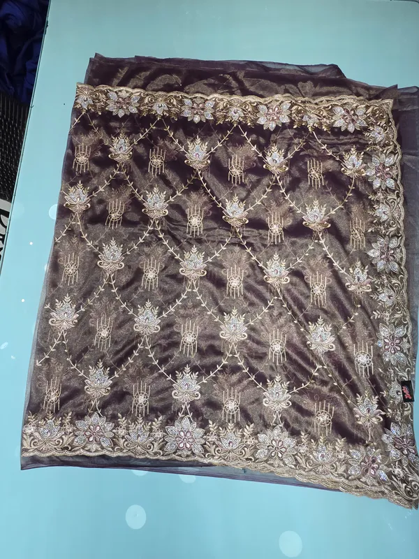brown_colour_tissue_net_fabric_with_full_work_and_zari_stone