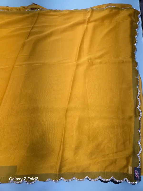 plain_saree_stone_work_border