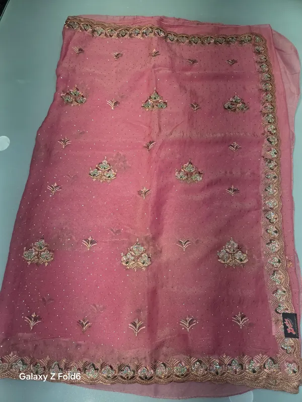 shimmer_georgette_selkf_zari_and_sworski_work_heavy_border