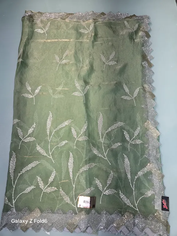 soft_organza_with_embrodery_and_stone_border
