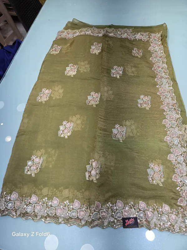 chiffon_georgett_bits_work_saree_border_and_embrodery_touch_up