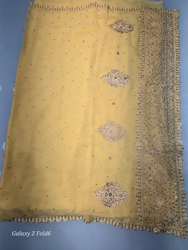 full_lace_work_saree_with_border_work