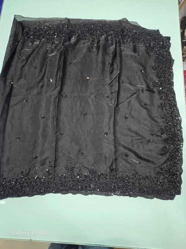 tissue_saree_full_beats_work_on_border_and_butta