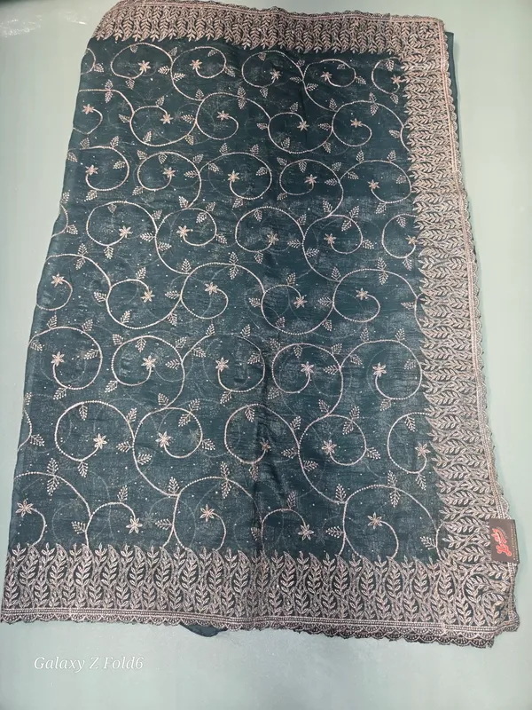 jal_work_saree_zari_work_and_stone