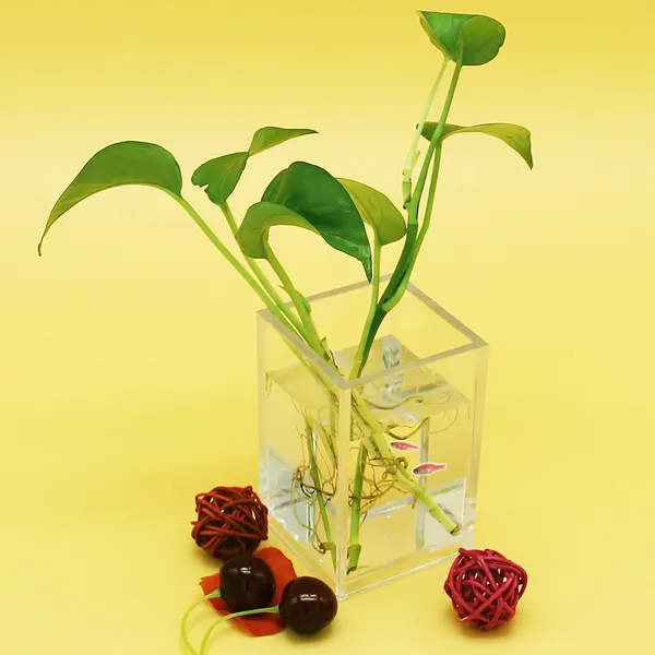 2_Pack_Clear_Acrylic_Pencil_Pen_Holder_Cup_Desk_Accessories_Holder_Makeup_Brush_Storage_Organizer_Modern_Design_Desktop_Stationery_Organizer_For_Office_School_Home_Supplies_2_6x_2_6x_4_Inches