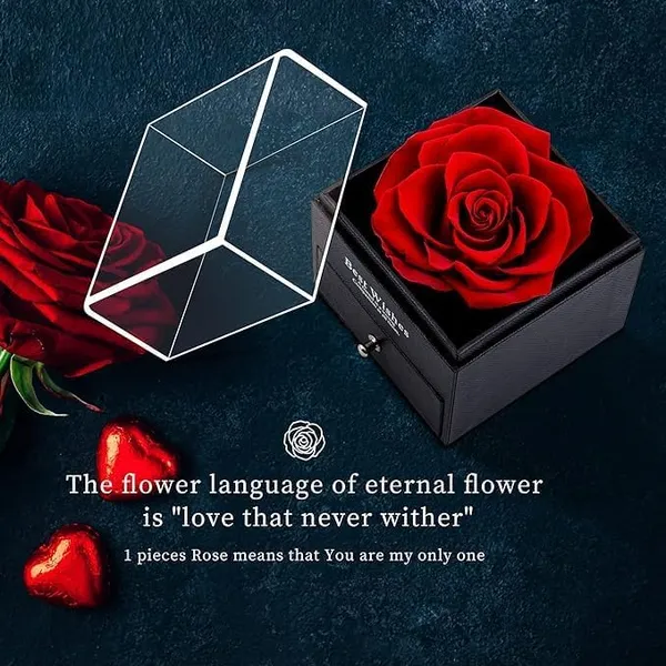 Preserved_Rose_Flower_Gift_Box_With_Heart_Necklace_For_Women_Romantic_Gift_For_Girlfriend_Wife_Fiancee_Valentine_S_Day_Birthday_Anniversary_Wedding_Proposal_Special_Occasion