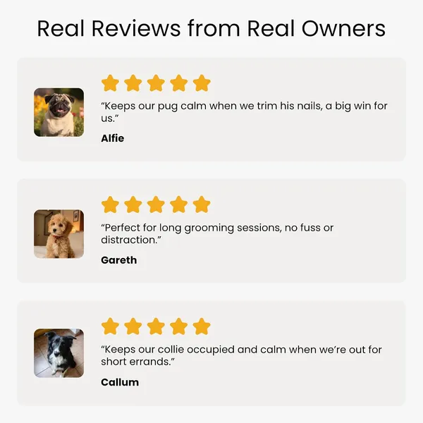 Lick_Mat_For_Dogs_Cats_2_Pack_With_Spatula_Cleaning_Brush_Slow_Feeder_Mat_For_Enrichment_Calming_Anxiety_Boredom_Training_Food_Grade_Bpa_Free_With_Suction_Cups