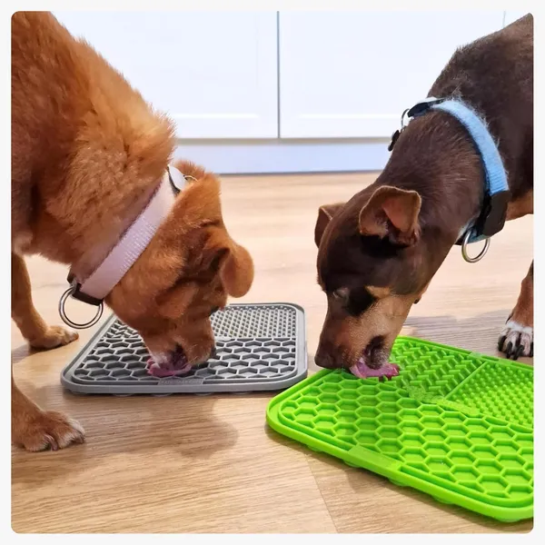 Lick_Mat_For_Dogs_Cats_2_Pack_With_Spatula_Cleaning_Brush_Slow_Feeder_Mat_For_Enrichment_Calming_Anxiety_Boredom_Training_Food_Grade_Bpa_Free_With_Suction_Cups