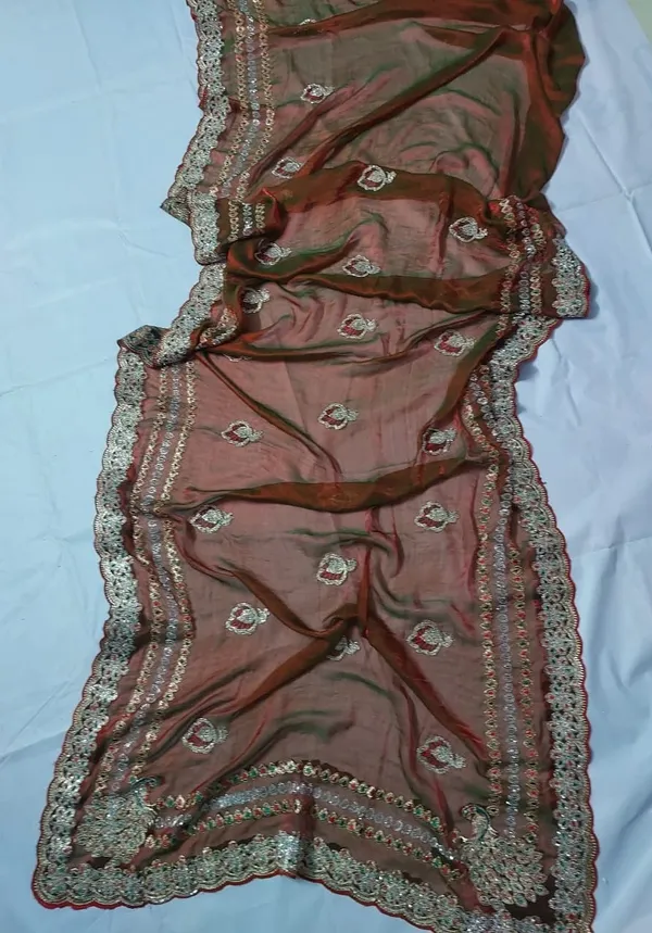 Brown_Net_Embellished_Dupatta_for_Women