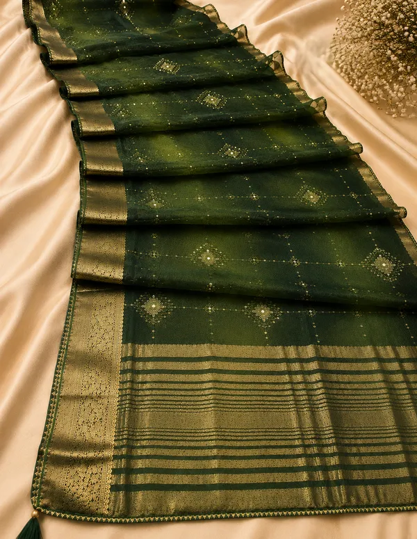 Green_organza_Saree_with_satari_work_For_Women